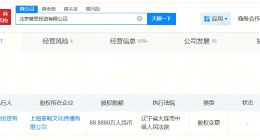 王思聪公司被冻结88万股权 王思聪公司所持88万股权被冻结