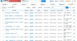 比亚迪已注册多枚璇玑关联商标 比亚迪现有超百项芯片专利