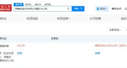张雪卸任凯越科技重庆分公司负责人 张雪退出凯越科技重庆分公司