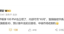 华为畅享100 Pro Max立项：代号“叶问”，首发手机史上最大电池