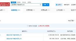 融创房地产集团等被恢复执行39.5亿