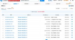 碧桂园地产等被执行8.9亿