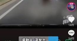 理想“智驾”高速撞上散落轮胎，提车仅6天撞成事故车！