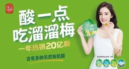 对赌倒计时，溜溜梅冲刺IPO：每赚10块花7块请明星，红杉清仓离场