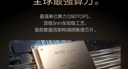 芯片写邀请函！理想马赫M100这波操作 英伟达Thor U看了沉默