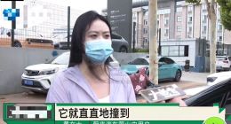 蔚来萤火虫自动泊车事故：一次信任危机的“小切口”