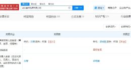 沈斐卸任武汉蔚来能源公司法定代表人 武汉蔚来能源公司发生高管变更