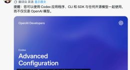 OpenAI 打破封闭传统？Codex 开放第三方模型接入