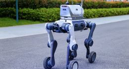 硬核通关！4大场景“全程0接管”，大晓机器人实力领跑复兴岛春训大考