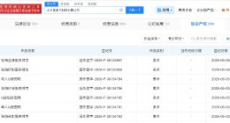 爱奇艺已登记南部档案相关著作权 爱奇艺已登记南部档案双人图稿著作权