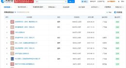 揭秘王石商业版图 王石名下关联超10家企业