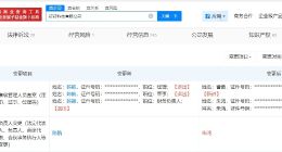 朱鸿接手钉钉科技公司 陈航卸任钉钉科技公司职务