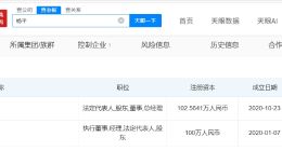 亏130万程序员名下仅一家公司存续 Yapie程序员哥现有粉丝17万
