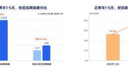 脉脉校招数据：名校生对芯片企业关注度直逼大厂，海光、寒武纪进热搜榜
