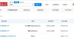 粉笔新CEO名下关联多家公司 盛海燕已在多家粉笔系公司任职