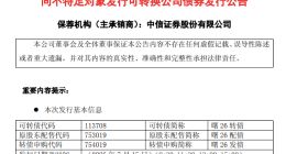 中科曙光启动80亿元可转债发行 7月15日申购