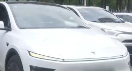 入手仅21天 特斯拉Model Y突发制动故障！特斯拉：系统误报 不退车