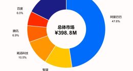 IDC：2025年中国AI编程市场阿里Qoder第一