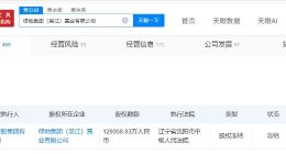 绿地控股集团所持12.9亿股权被冻结