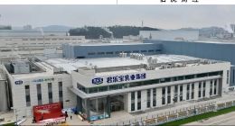 “六连问”已回、A1正常更新，君乐宝的周期答卷扎实可见