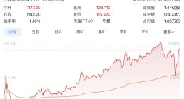 SpaceX发布上市后首份财报：星链扛盈利 86%资本开支砸向AI