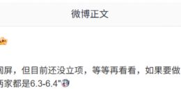 消息称荣耀“在看”阔屏手机，目前尚未立项