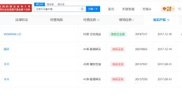 晚晚夫妇公司已注册晚晚服装品牌商标 WANWANLEI商标已被注册