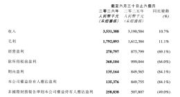 营收大增、净利暴跌 阅文上半年为何增收不增利？