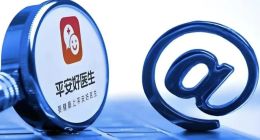 收入降0.7%、利润涨63.5%，五名董事辞任：平安健康正在变成谁的基础设施？