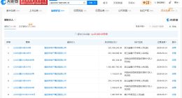 融创房地产集团等被执行19亿