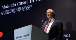 对话比尔•盖茨：中美大模型各有4家，能够保持最先进水平