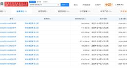 椰树集团再成被执行人 椰树集团近日新增多条被执行人信息