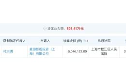 李小璐赵涛无商业关联 李小璐2家公司被限消