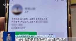 “下架没用，我能反复攻击你”：自媒体博主敲诈科技企业后落网