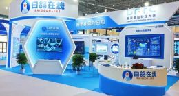 白鸽在线上半年亏损1216万元：模型收入增长，盈利还差什么？