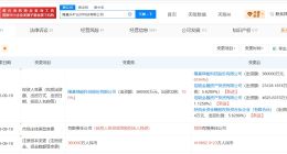 隆基绿能旗下乐叶光伏科技公司增资至41.1亿 增幅约14%