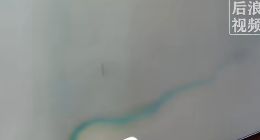 iPhone 18 Pro Max被曝拍照出现绿斑 苹果客服回应