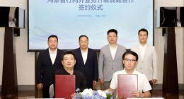 赛力斯“单飞”梦碎？再度牵手华为背后，这场豪赌谁都输不起