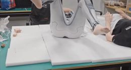 国产仿生机器人海外走红 “机器人女友”引热议：离情感伴侣还有多远？
