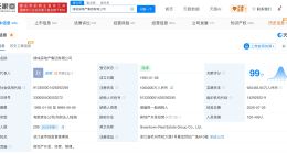 绿城中国时任主席张亚东被香港廉署起诉 涉嫌收贿2000万港元促成4.4亿元收购