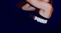 安踏收购PUMA，但没有控制权