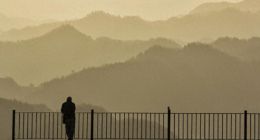 企查查主板IPO告败， “剑走偏锋”仍难解“大盘蓝筹”定位争议？