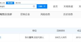 李连杰名下已无存续公司 李连杰已退出名下多家曾任职公司