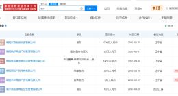 理记名下多家公司被吊销或注销 理记名下公司已被限消