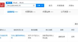 万科3571万股权被冻结 万科所持3571万股权被冻结