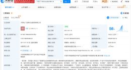 快狗打车拟1元出售中国内地业务 标的上半年亏损4925.9万元